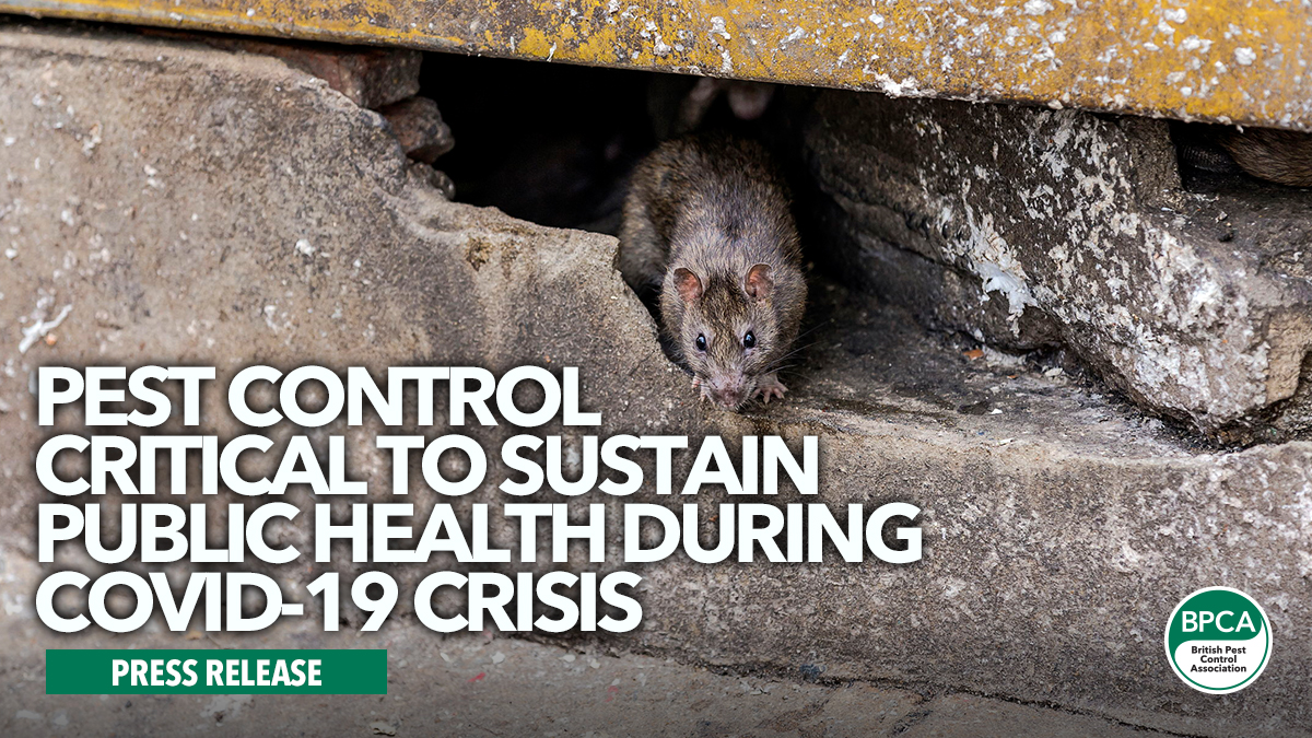 Pest control critical to sustain public health during Covid-19 crisis